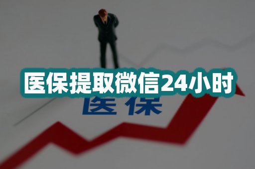 医保提取微信24小时